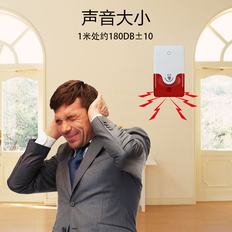 10591139798_652145112.jpg 3